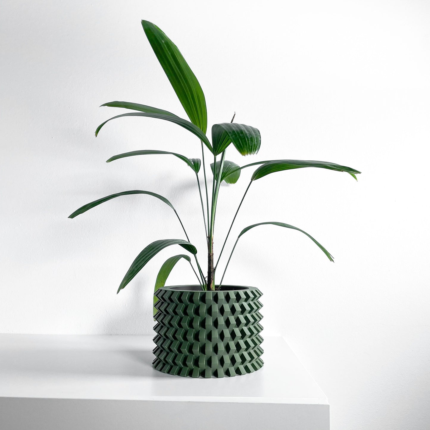 Bold Planter Pot, Architectural Desk Succulent Holder, Herb Eco Conscious Container, Geometric Design