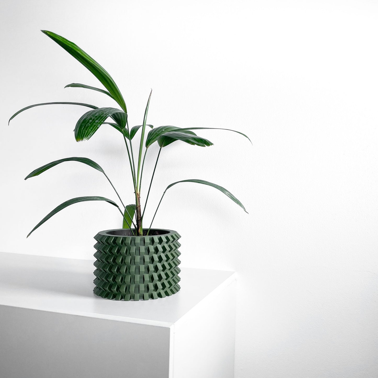 Bold Planter Pot, Architectural Desk Succulent Holder, Herb Eco Conscious Container, Geometric Design