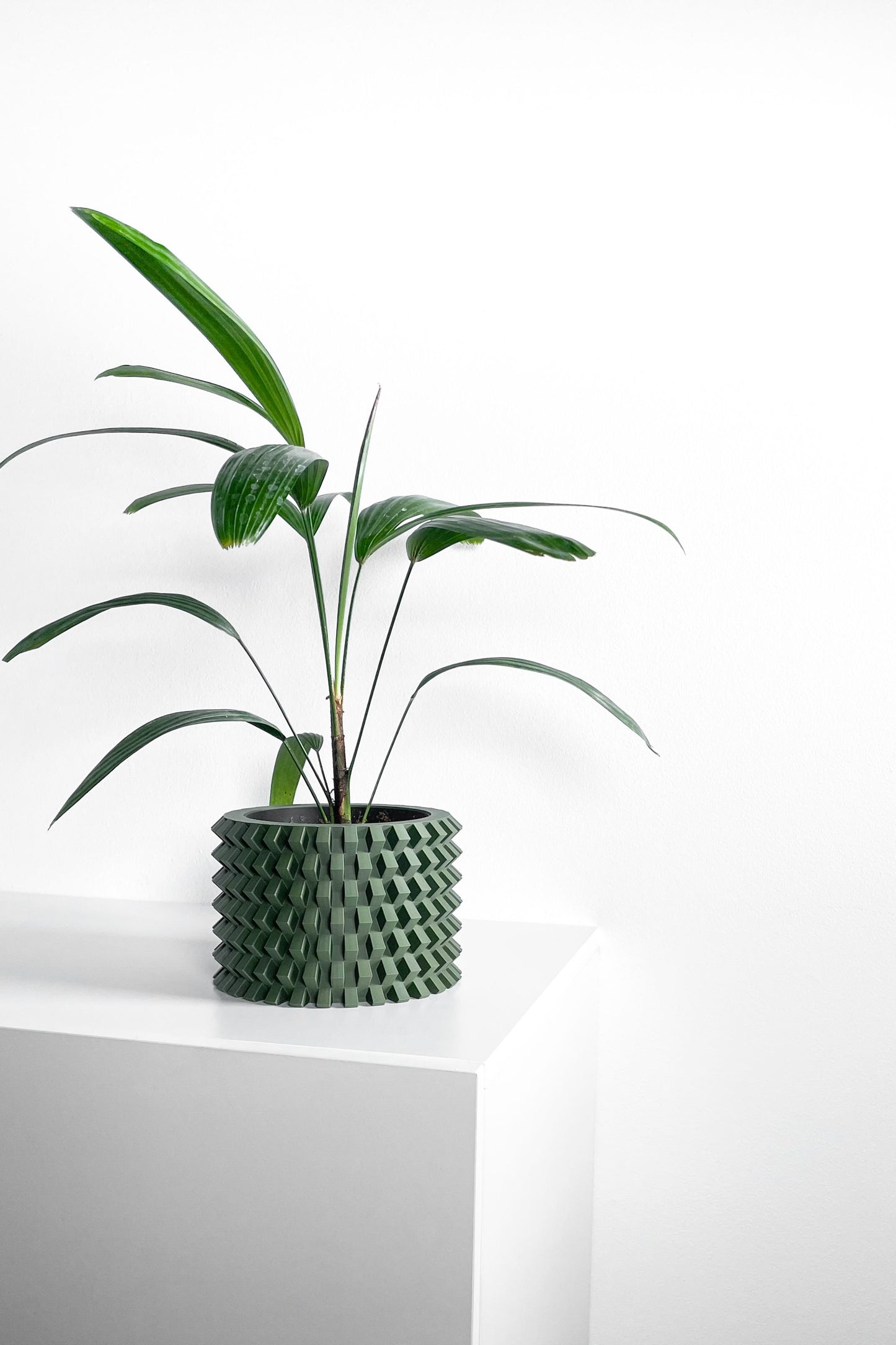 Bold Planter Pot, Architectural Desk Succulent Holder, Herb Eco Conscious Container, Geometric Design