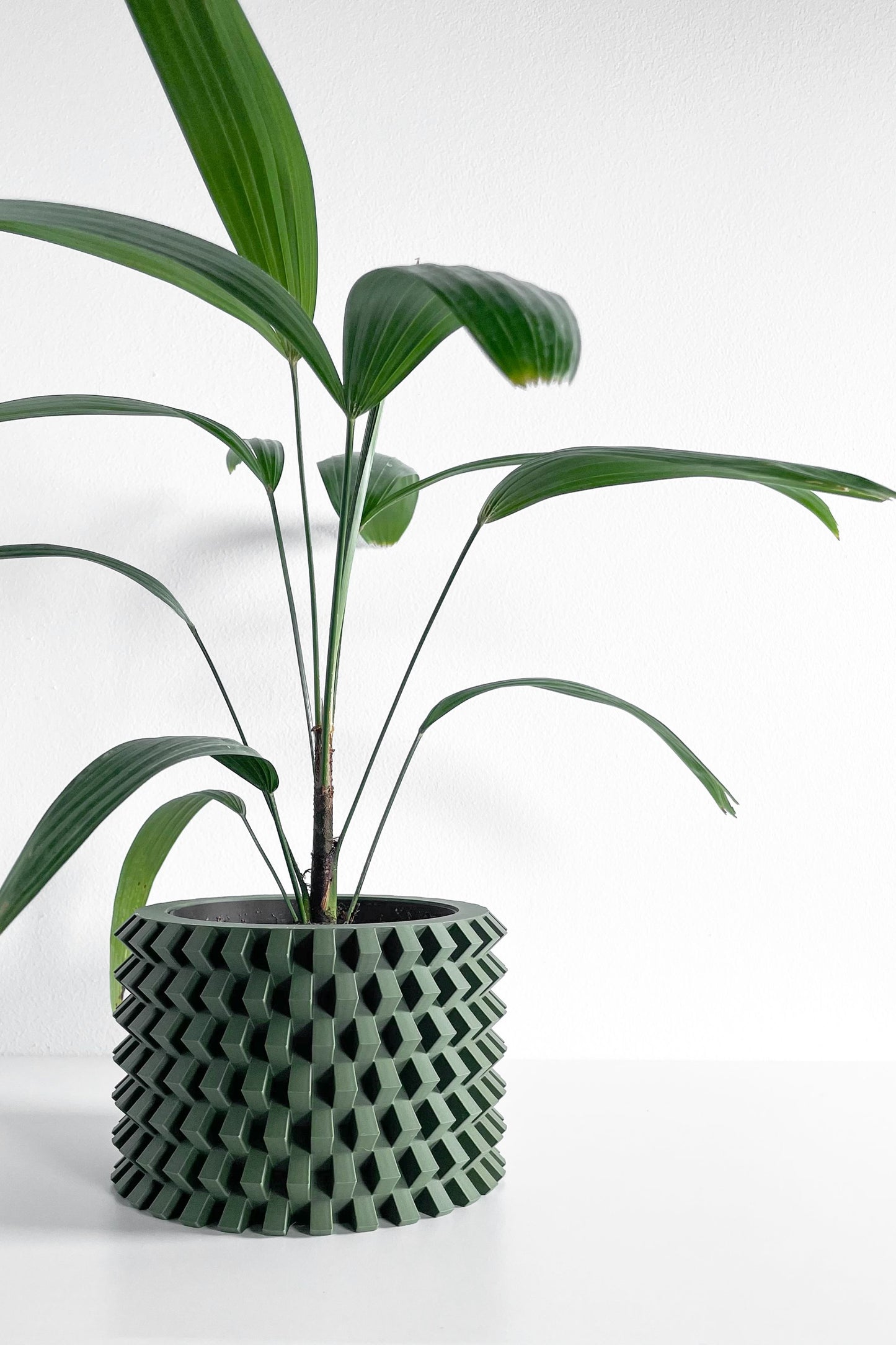 Bold Planter Pot, Architectural Desk Succulent Holder, Herb Eco Conscious Container, Geometric Design