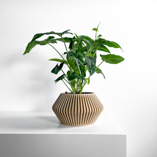 Plant Pot Ornamental, Contemporary Japandi Matte Desktop Organizer, Decorative Vessel