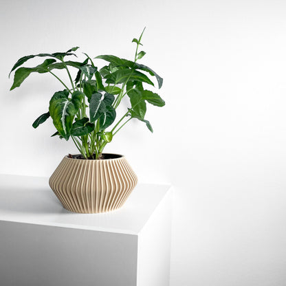 Plant Pot Ornamental, Contemporary Japandi Matte Desktop Organizer, Decorative Vessel