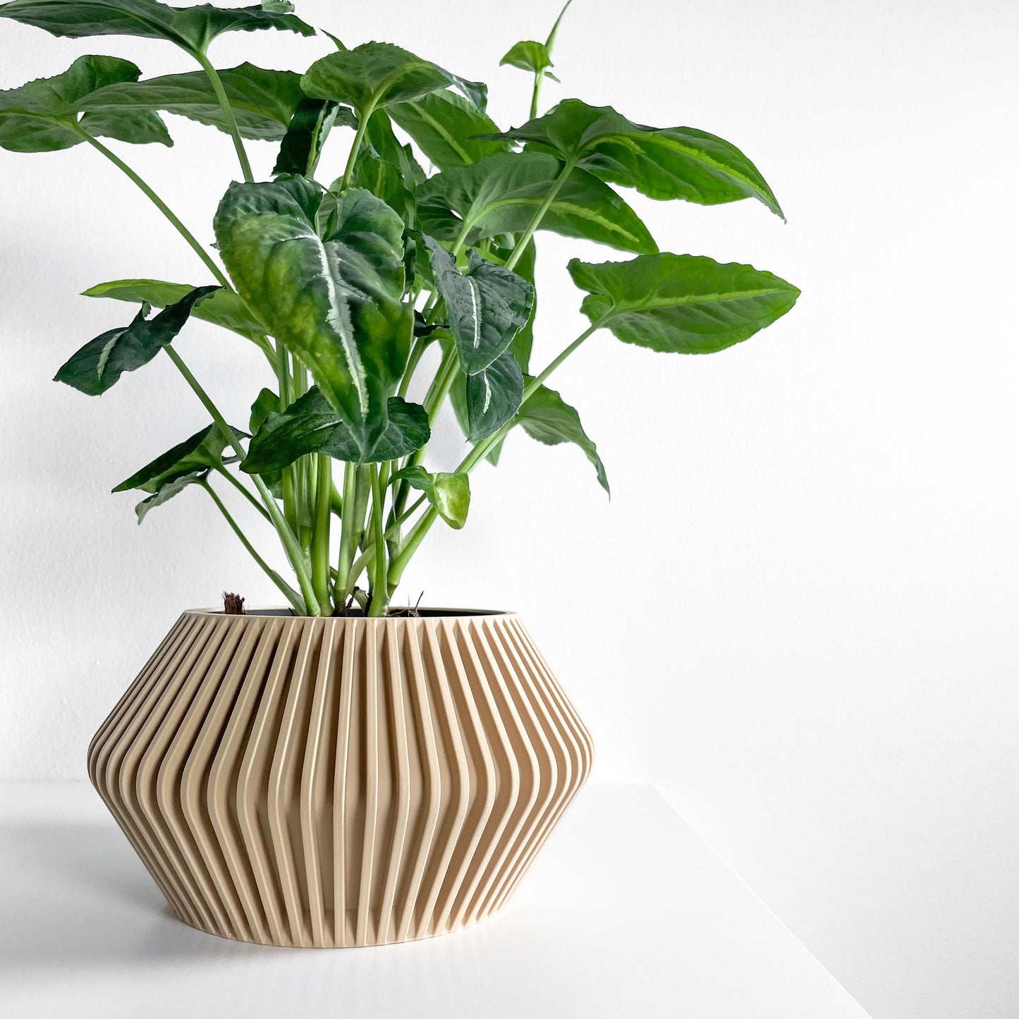 Plant Pot Ornamental, Contemporary Japandi Matte Desktop Organizer, Decorative Vessel