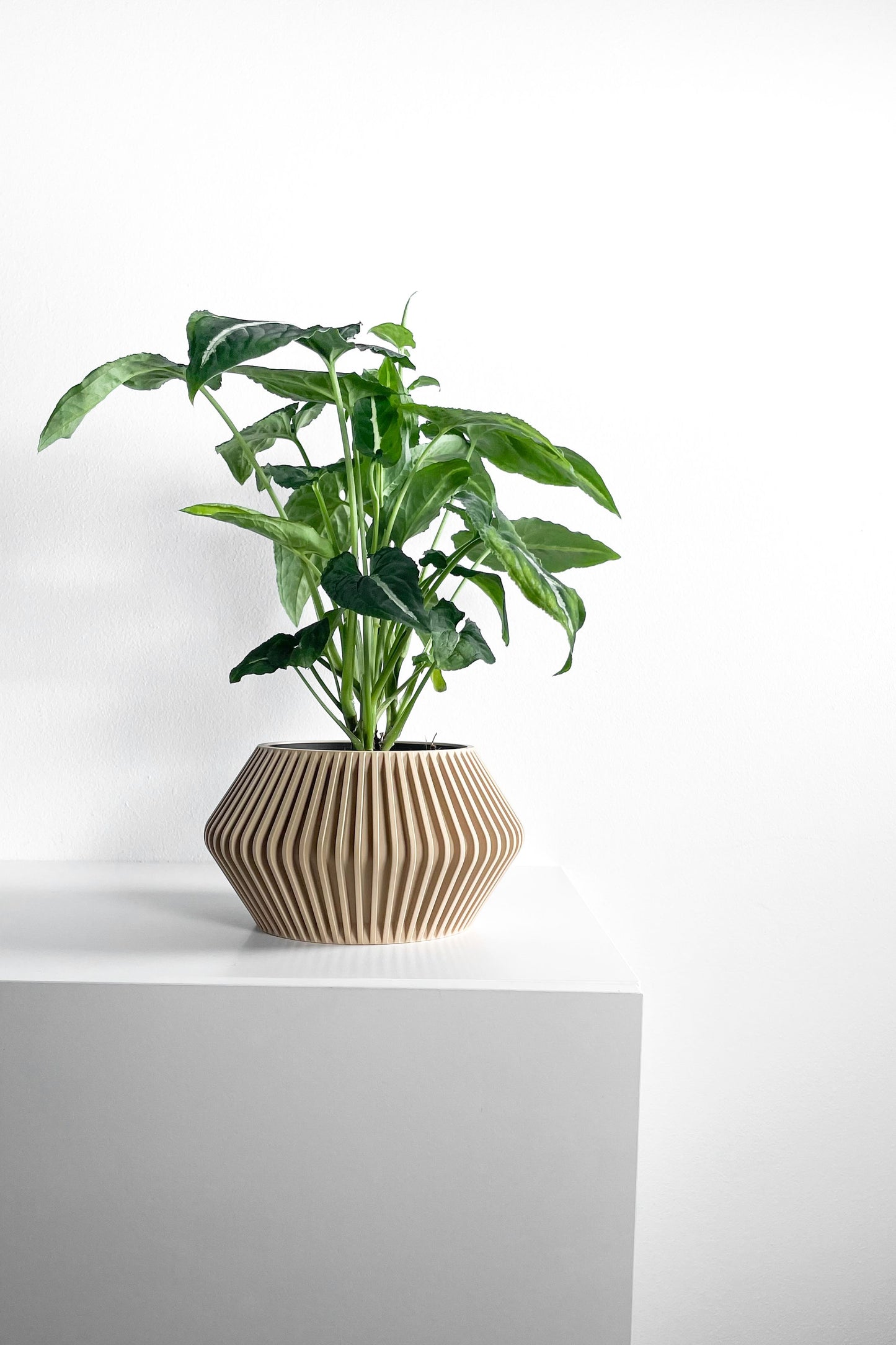 Plant Pot Ornamental, Contemporary Japandi Matte Desktop Organizer, Decorative Vessel