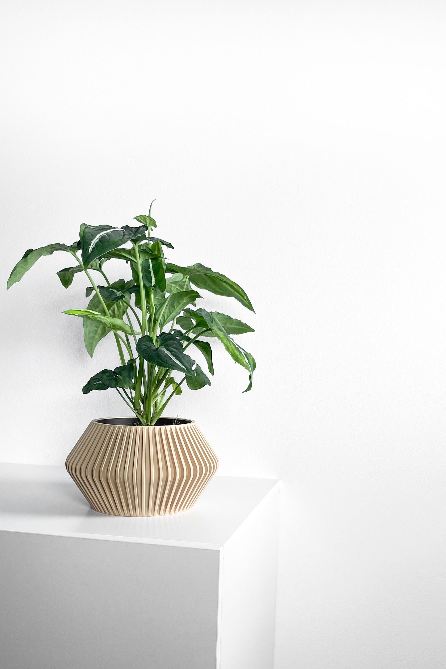 Plant Pot Ornamental, Contemporary Japandi Matte Desktop Organizer, Decorative Vessel