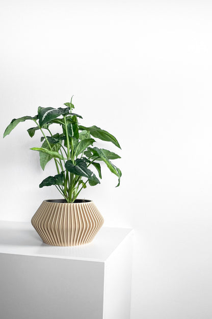 Plant Pot Ornamental, Contemporary Japandi Matte Desktop Organizer, Decorative Vessel