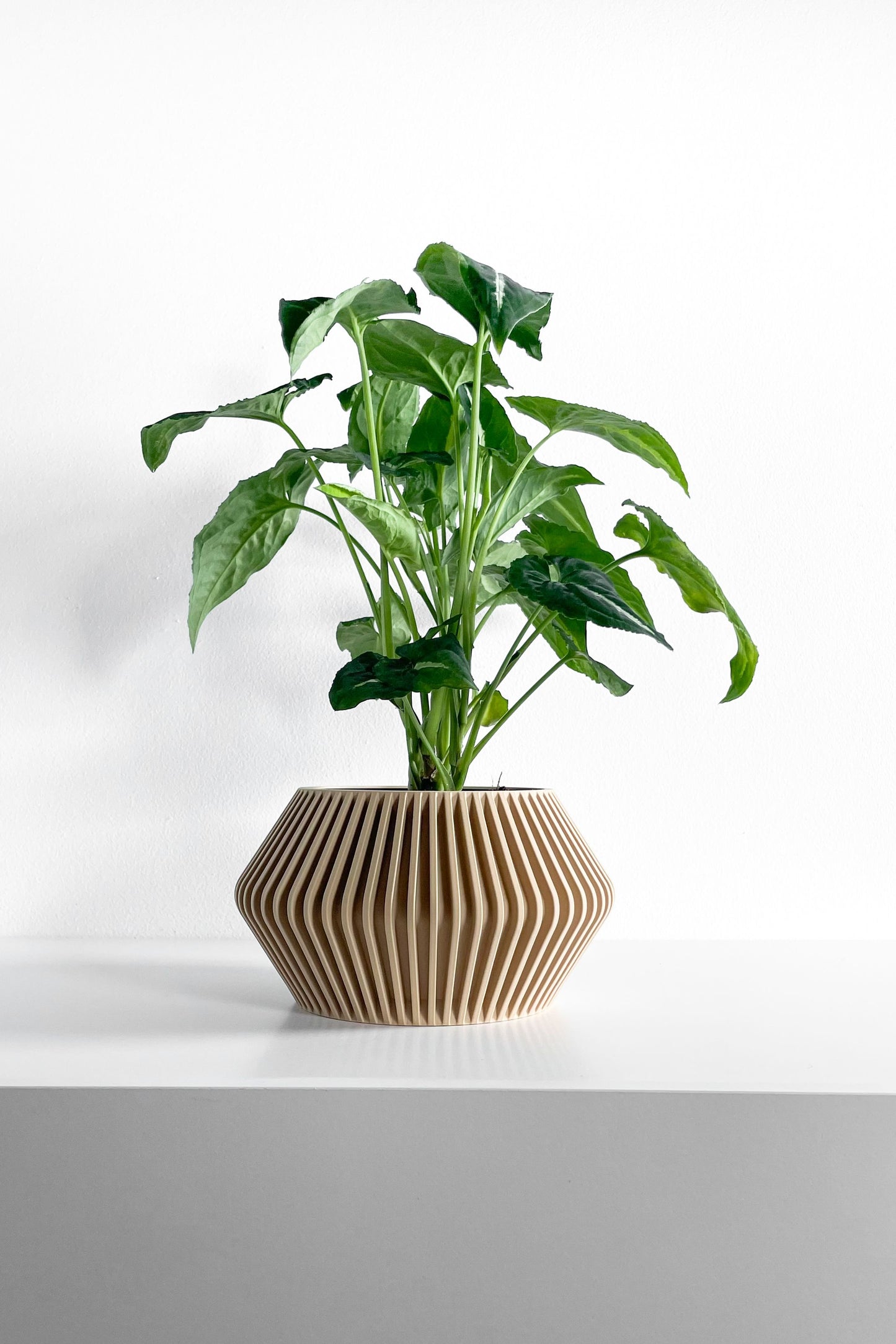 Plant Pot Ornamental, Contemporary Japandi Matte Desktop Organizer, Decorative Vessel