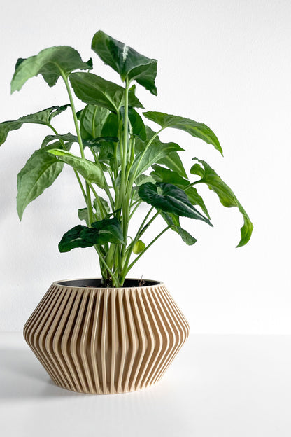 Plant Pot Ornamental, Contemporary Japandi Matte Desktop Organizer, Decorative Vessel