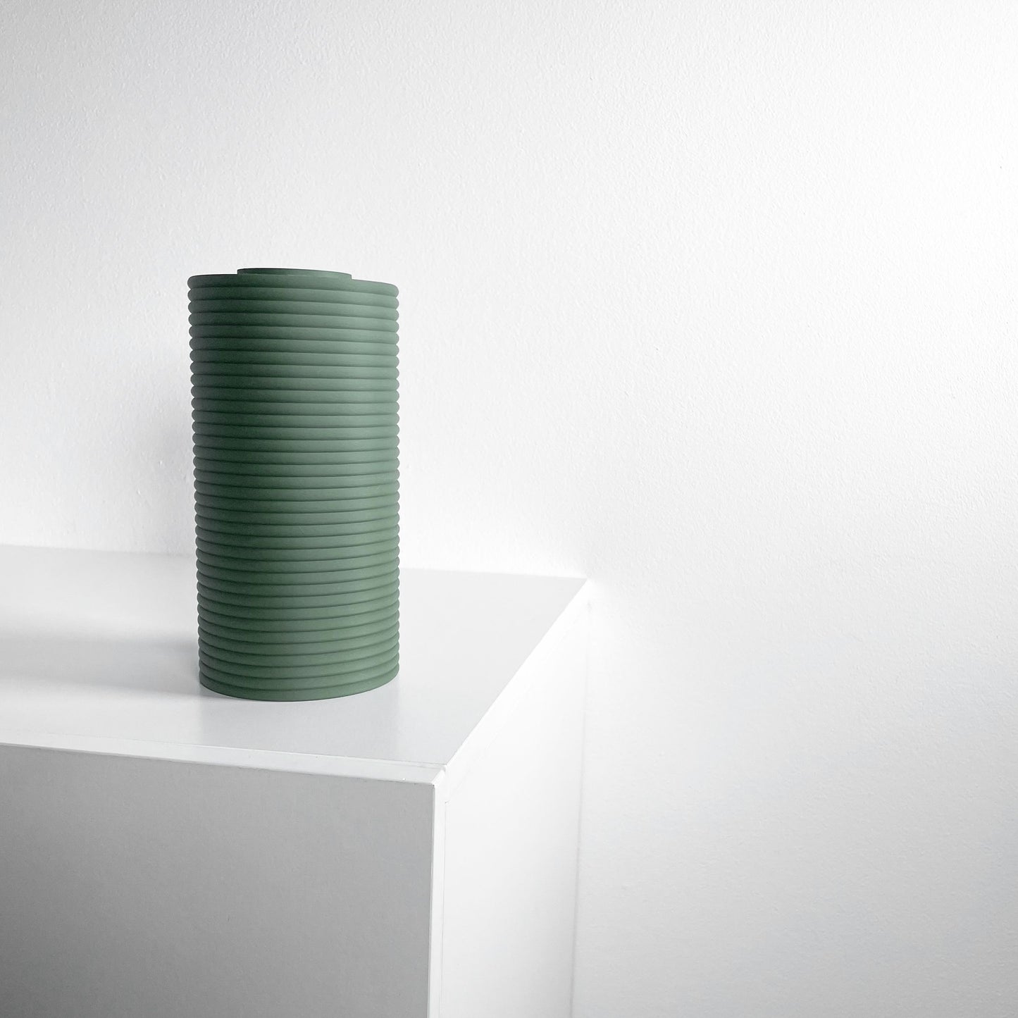 modern vase, minimalist tabletop accent, japandi floral display, versatile organizer