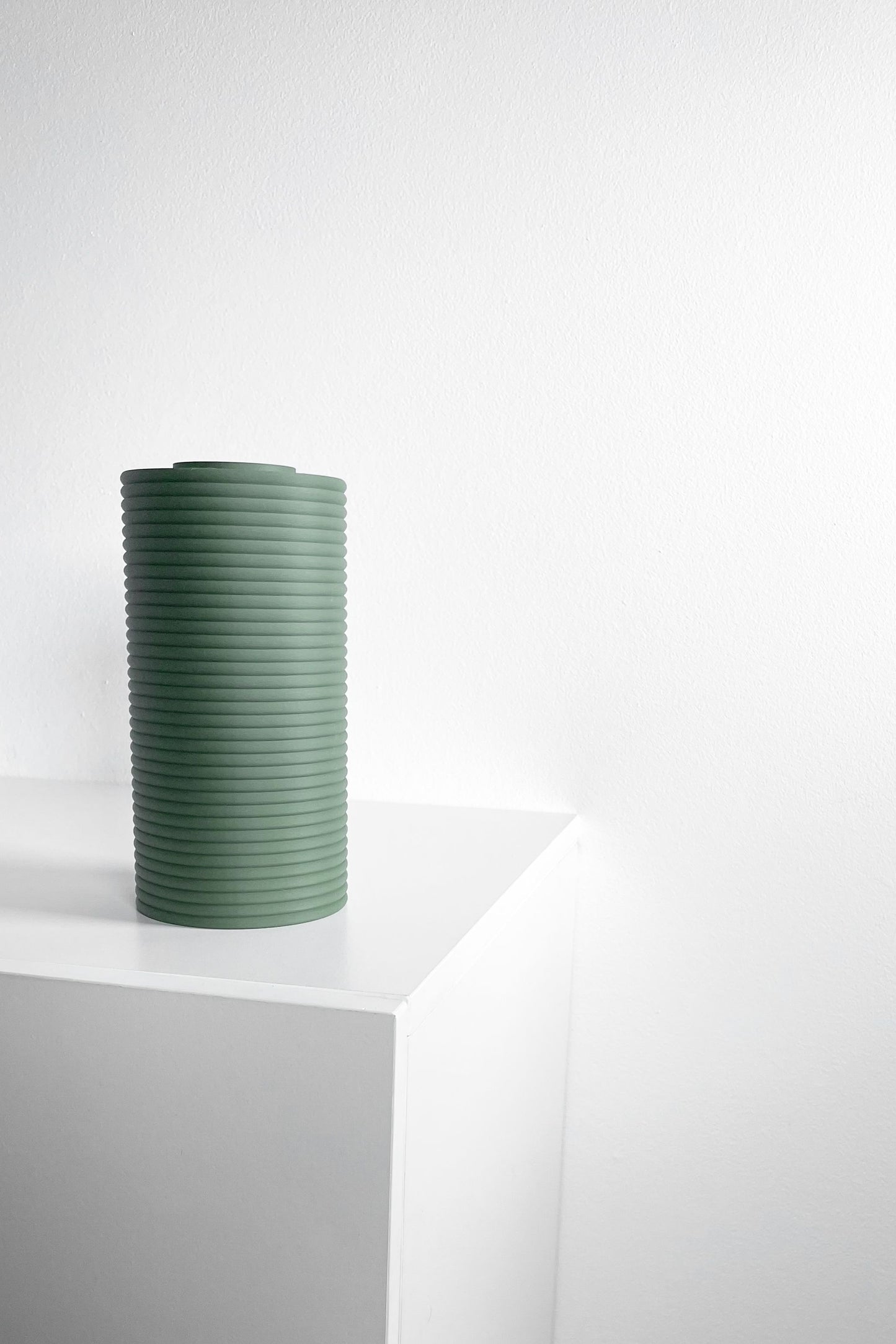 modern vase, minimalist tabletop accent, japandi floral display, versatile organizer