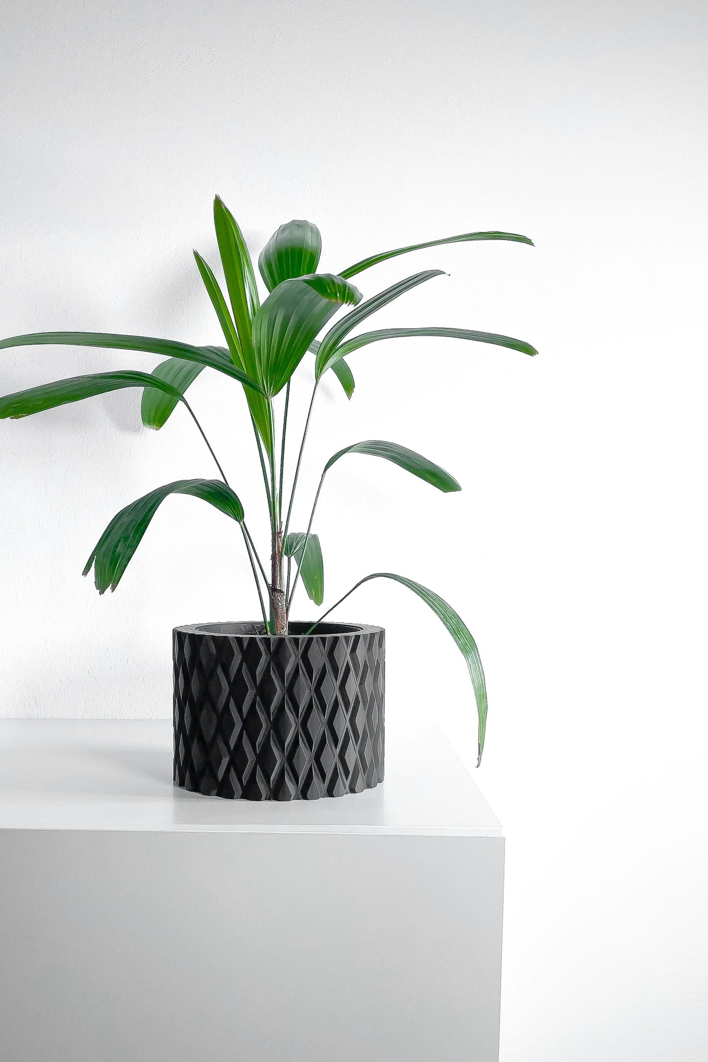 Geometric Planter, Minimalist Succulent Vessel, Desk Organizer, Contemporary Deco Holder