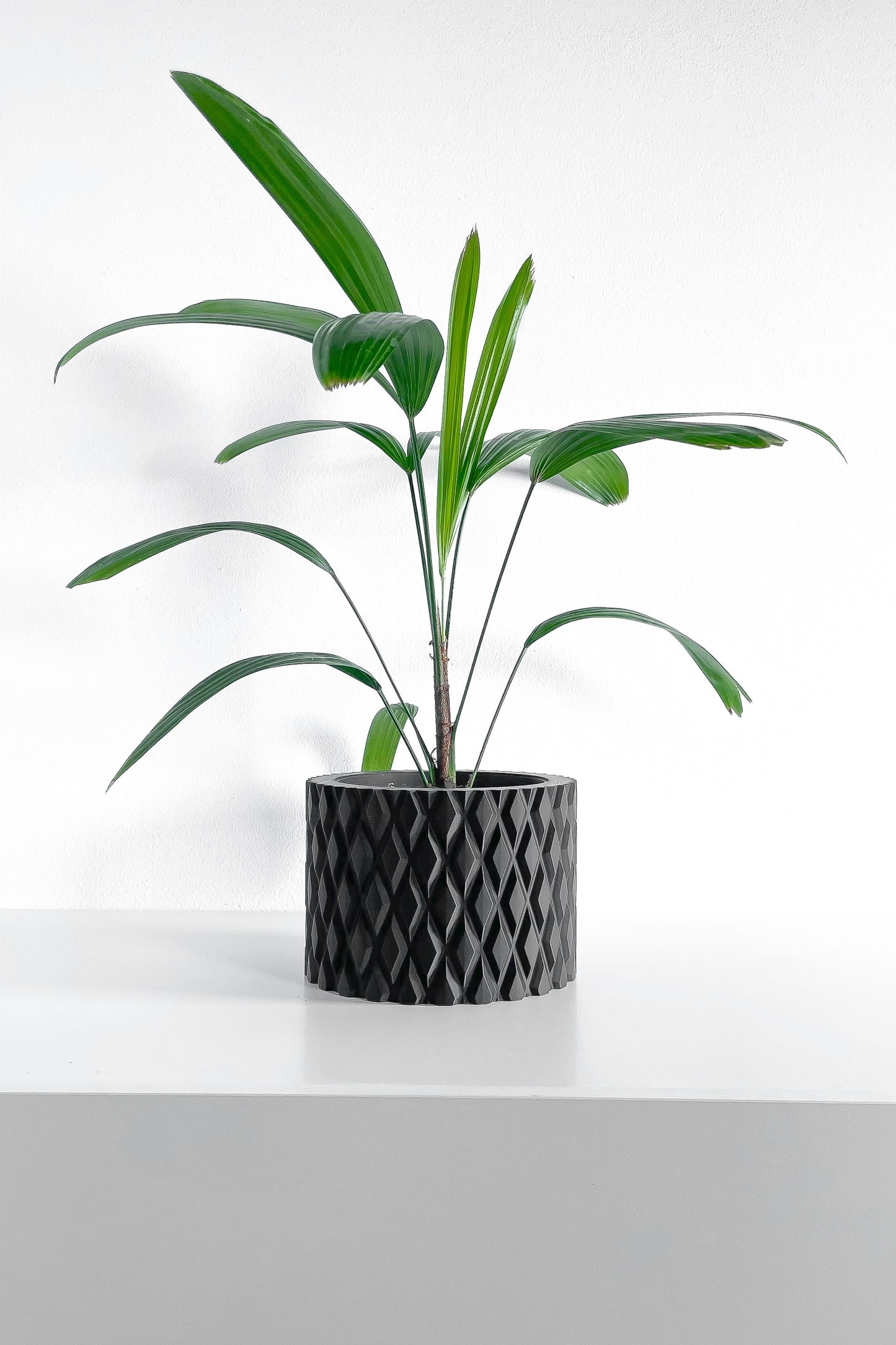 Geometric Planter, Minimalist Succulent Vessel, Desk Organizer, Contemporary Deco Holder