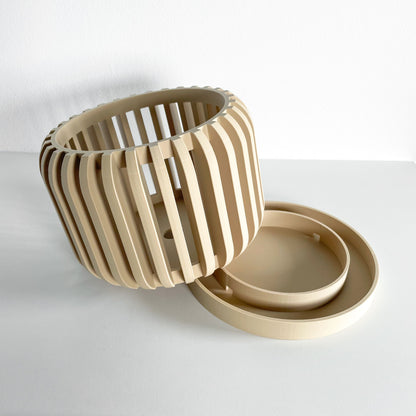 Orchid Planter, Air Pruning Pot, Root Visibility, Midcentury Display, Minimalist