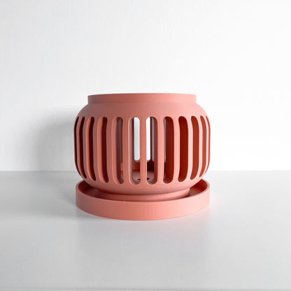 Orchid Pot, Rootview Airflow Planter, Windowsill Sculptural Display, Modern Minimalist