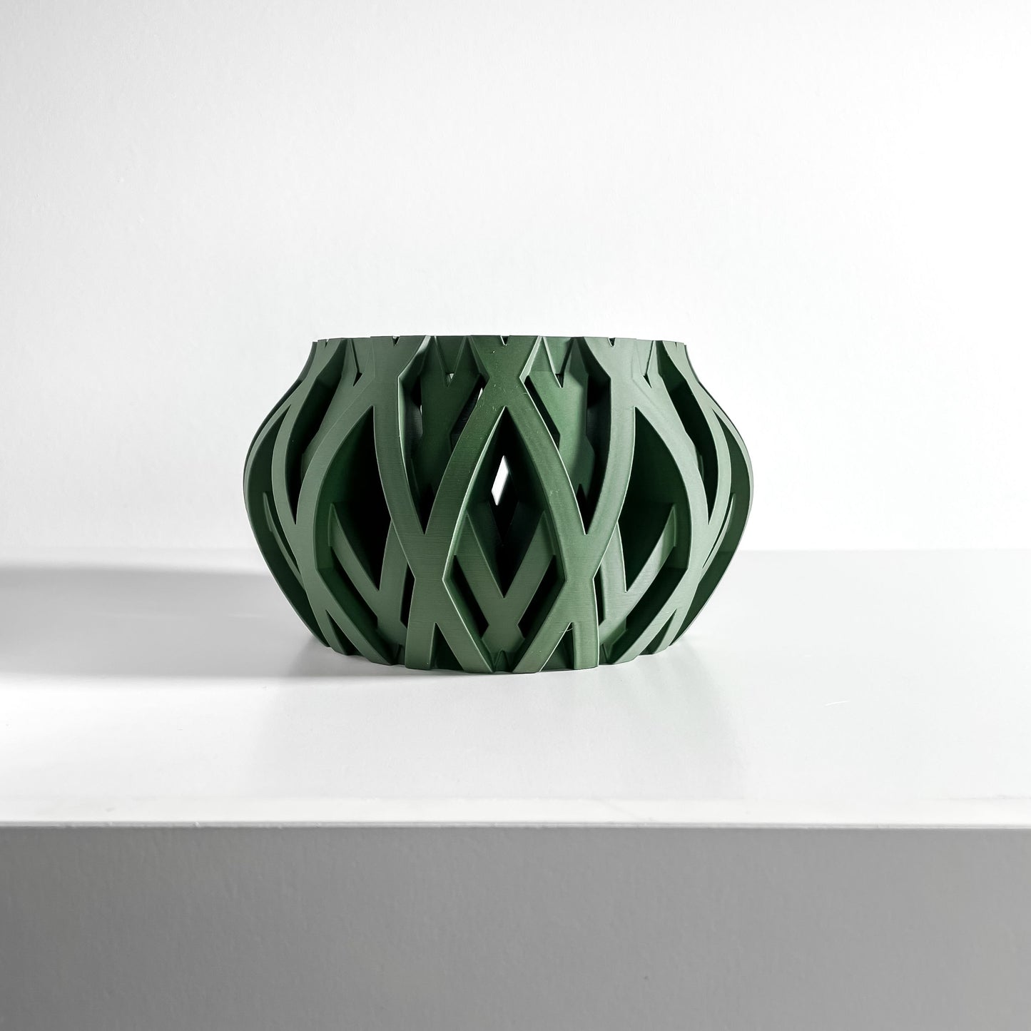 Orchid Planter, Root View Pot, Windowsill Display, Minimalist Sculptural Elegance