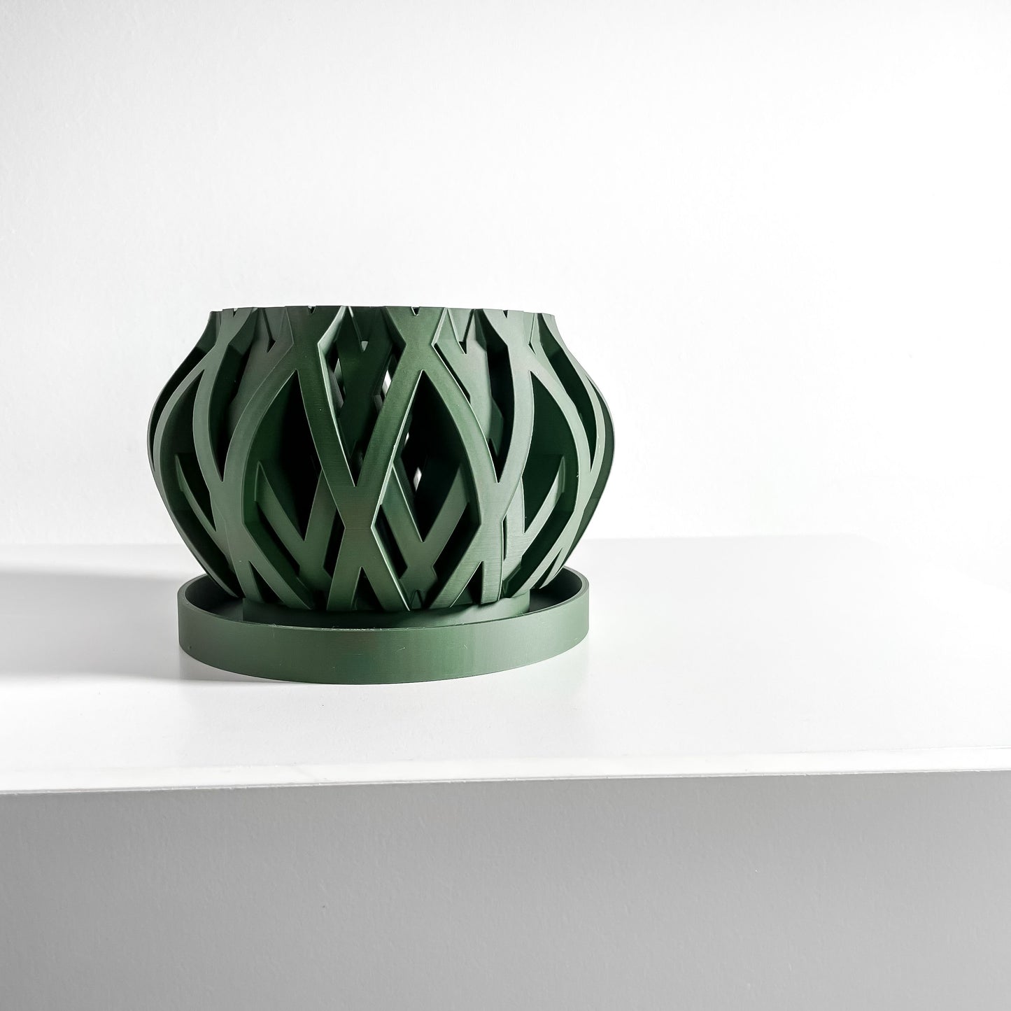 Orchid Planter, Root View Pot, Windowsill Display, Minimalist Sculptural Elegance