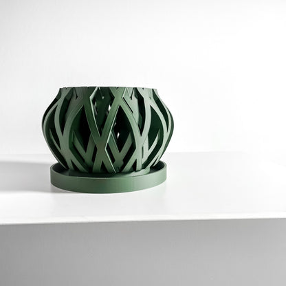 Orchid Planter, Root View Pot, Windowsill Display, Minimalist Sculptural Elegance