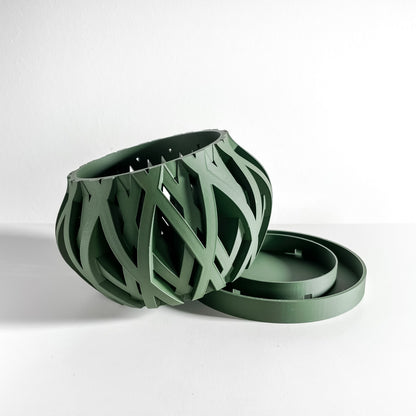 Orchid Planter, Root View Pot, Windowsill Display, Minimalist Sculptural Elegance