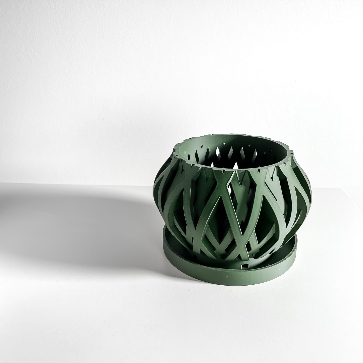 Orchid Planter, Root View Pot, Windowsill Display, Minimalist Sculptural Elegance