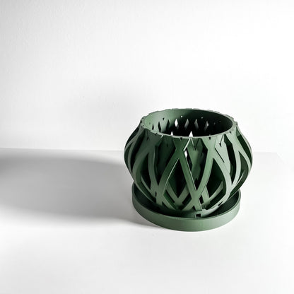 Orchid Planter, Root View Pot, Windowsill Display, Minimalist Sculptural Elegance