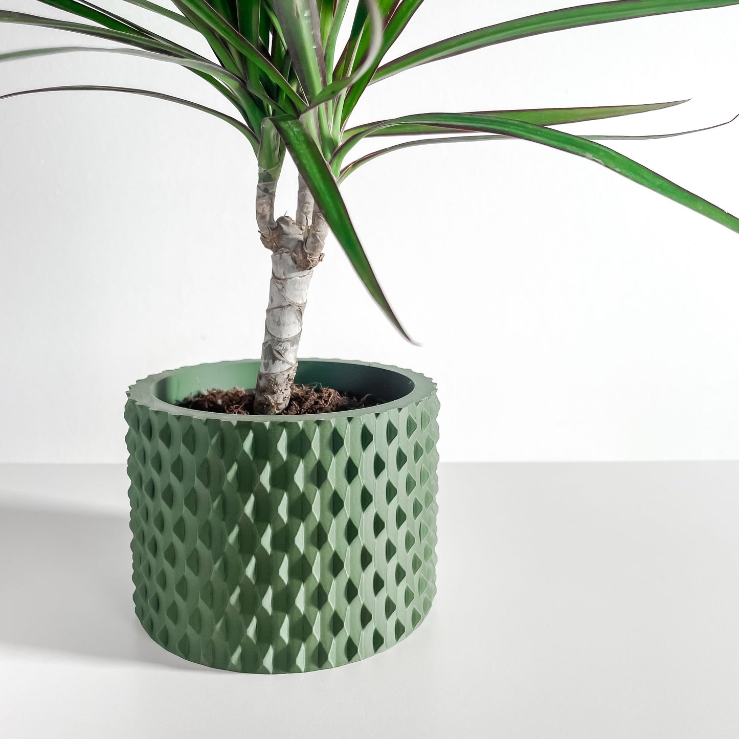 Planter Pot, Contemporary Succulent Container, Indoor Herb Holder, Sculptural Tabletop Accent