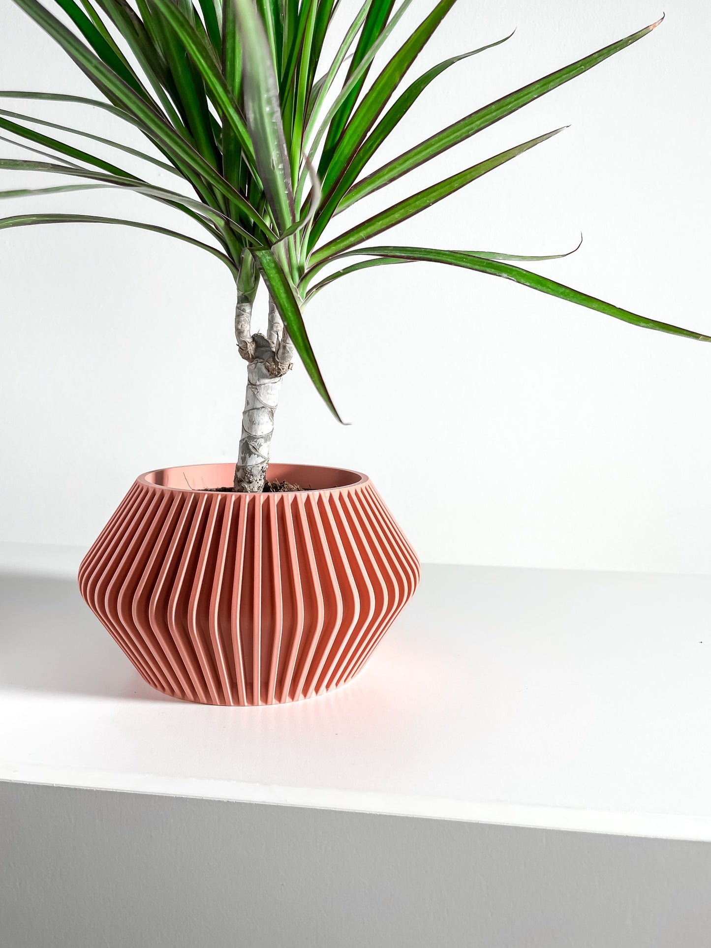 Plant Pot Ornamental, Contemporary Japandi Matte Desktop Organizer, Decorative Vessel