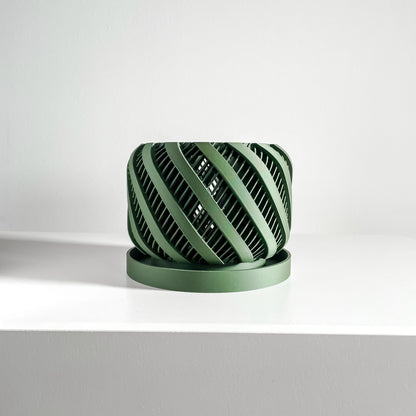 Orchid Planter, Root View Display, Airflow Organizer, Windowsill Decorative Bowl