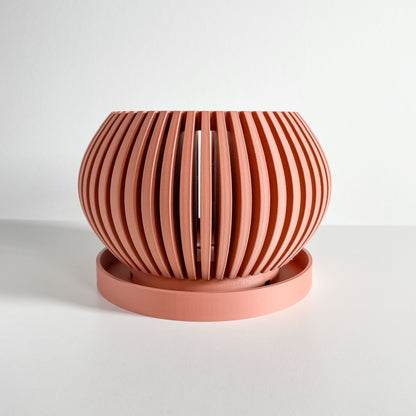 Orchid Pot, Root View Planter, Windowsill Airflow Display, SculpturalJapandiAccent