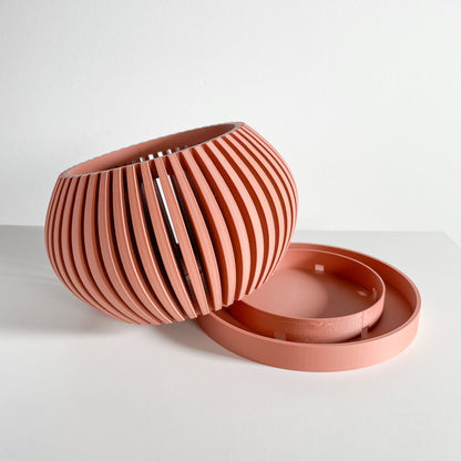 Orchid Pot, Root View Planter, Windowsill Airflow Display, SculpturalJapandiAccent