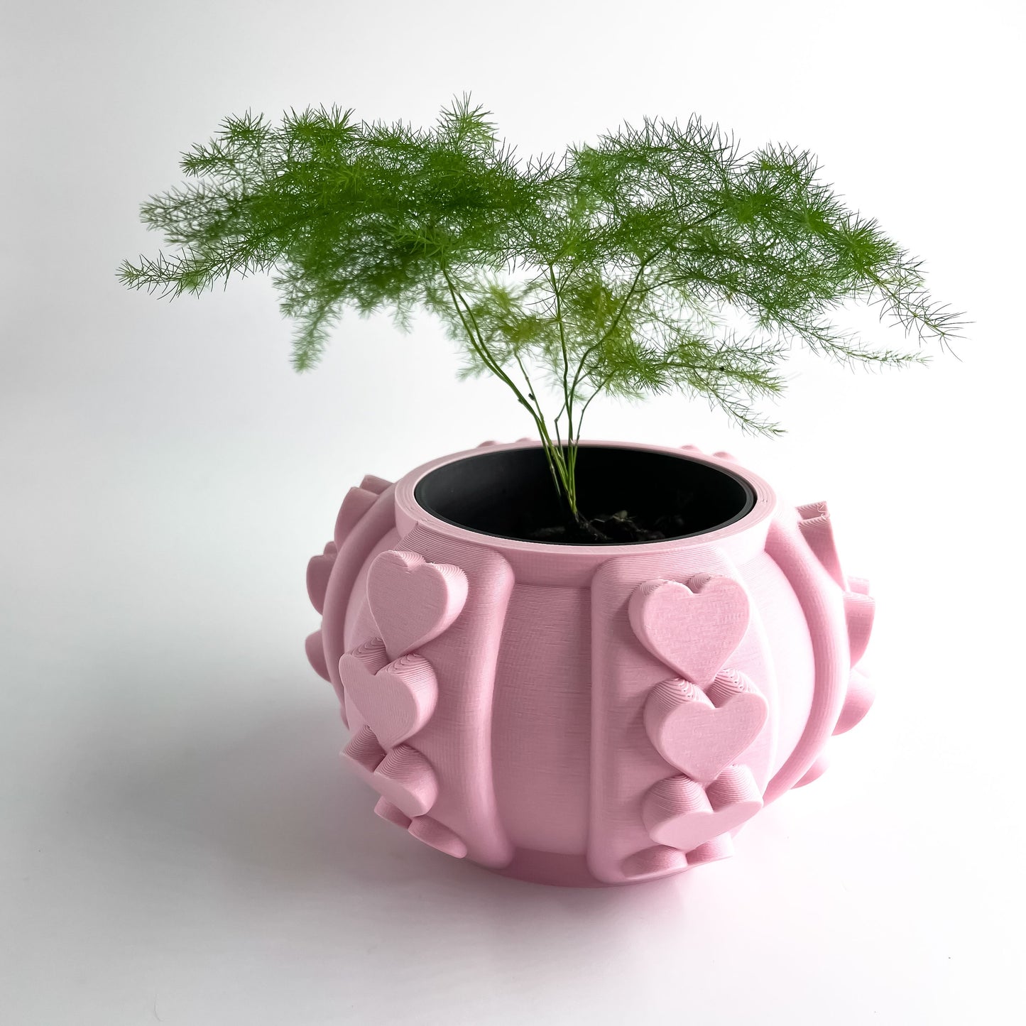 Succulent Planter, Indoor Herbal Holder, Contemporary Desk Organizer, Sculptural