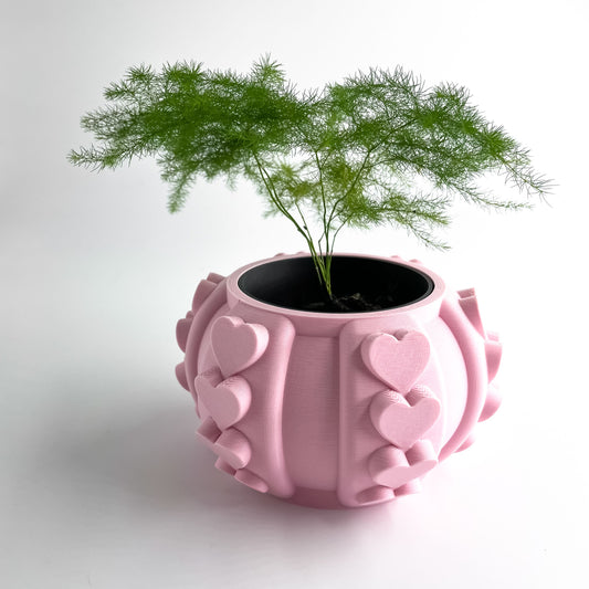 Succulent Planter, Indoor Herbal Holder, Contemporary Desk Organizer, Sculptural