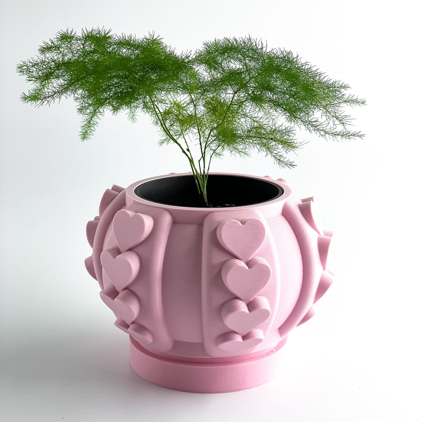 Succulent Planter, Indoor Herbal Holder, Contemporary Desk Organizer, Sculptural