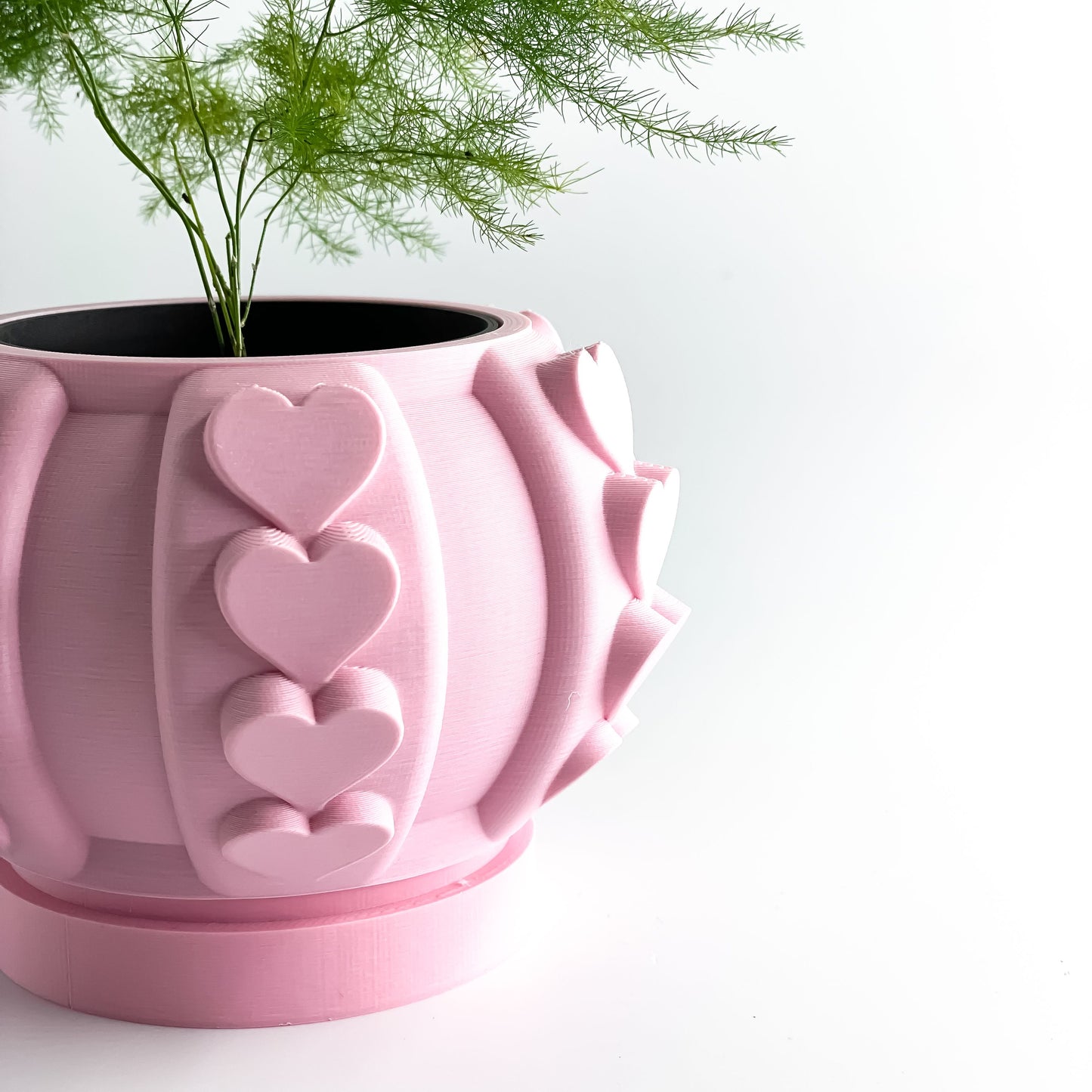 Succulent Planter, Indoor Herbal Holder, Contemporary Desk Organizer, Sculptural