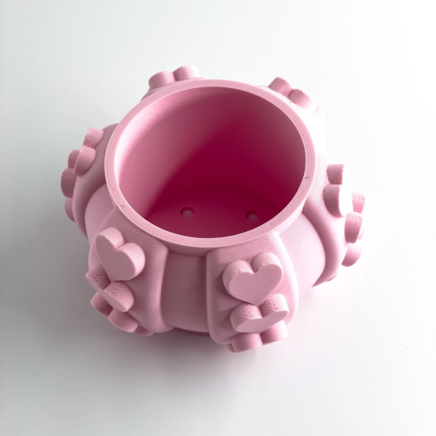 Succulent Planter, Indoor Herbal Holder, Contemporary Desk Organizer, Sculptural