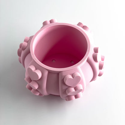 Succulent Planter, Indoor Herbal Holder, Contemporary Desk Organizer, Sculptural