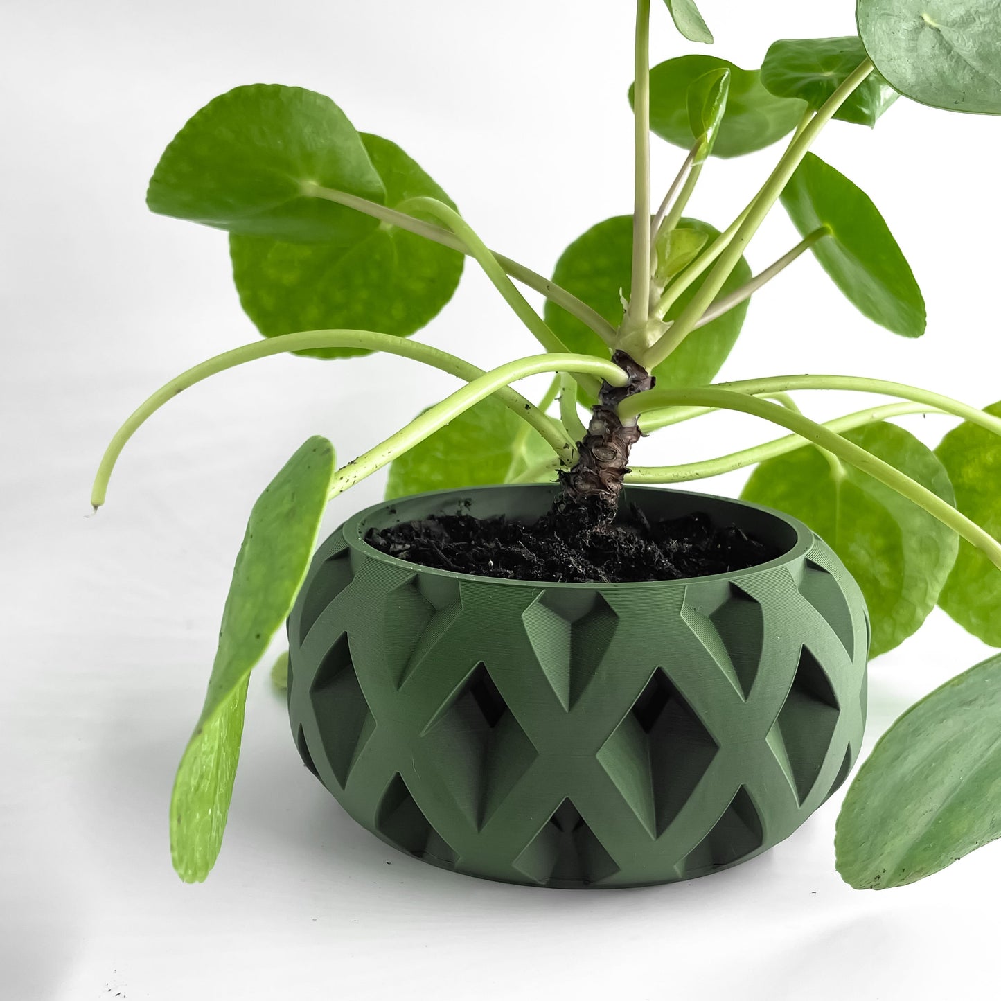 Succulent Planter, Geometric Architectural Fractal Pot, Desk Organizer, Modern Accent