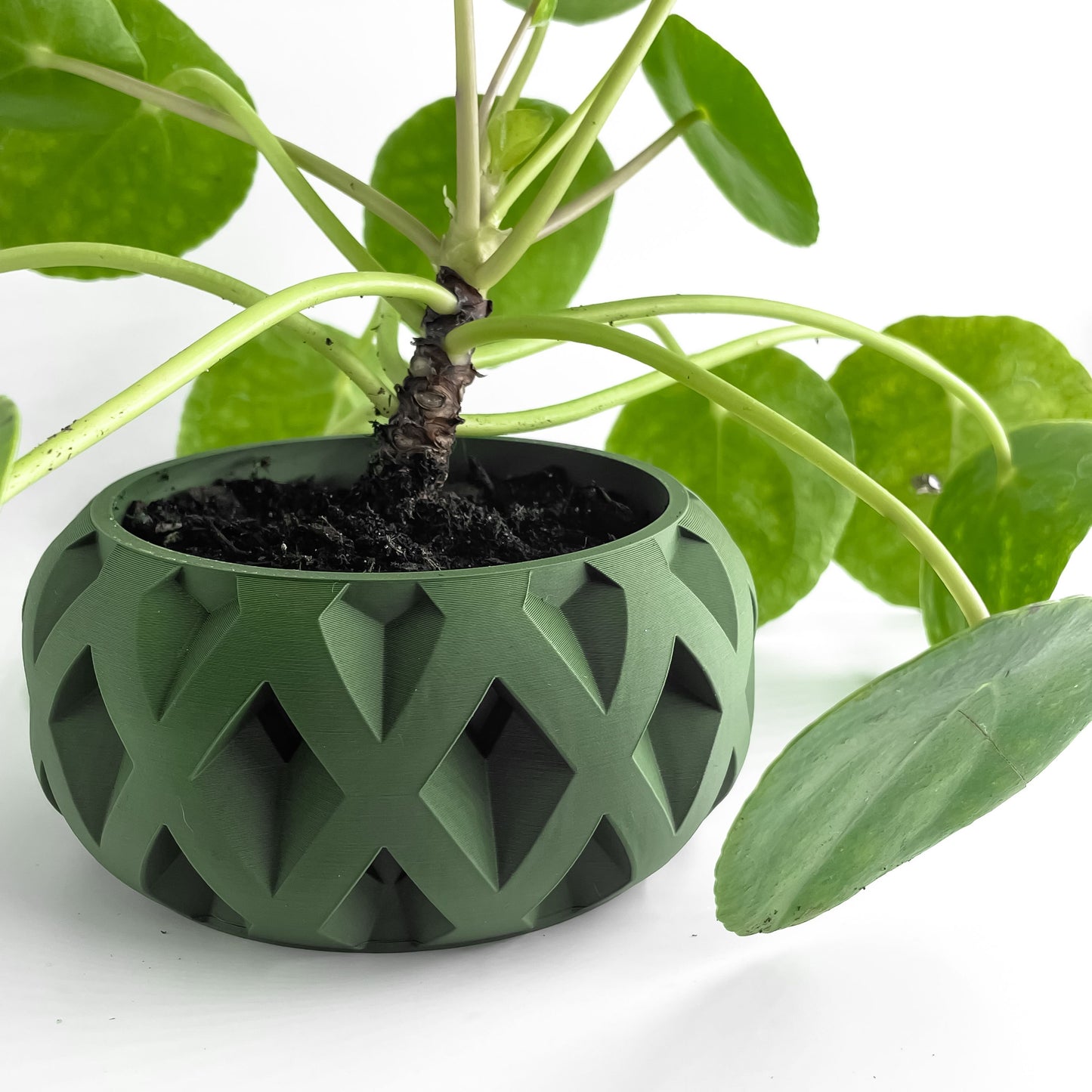 Succulent Planter, Geometric Architectural Fractal Pot, Desk Organizer, Modern Accent