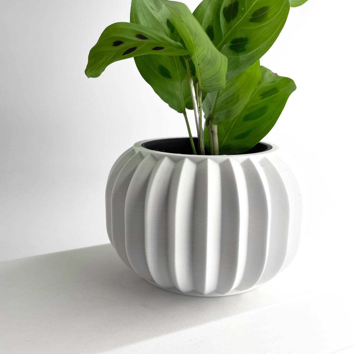 Planter Pot, Sculptural Desktop Succulent Holder, Contemporary Minimalist Workspace Accent