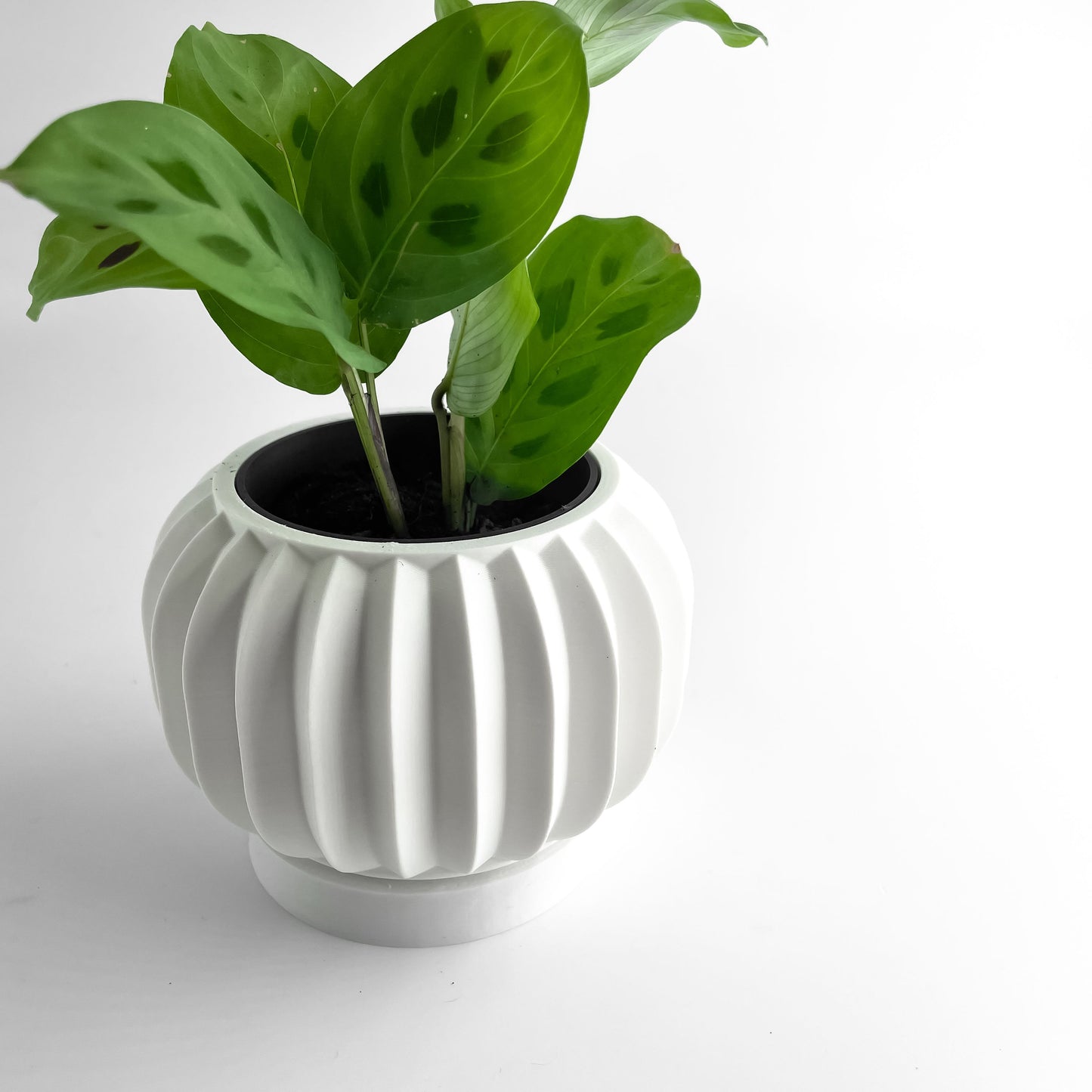 Planter Pot, Sculptural Desktop Succulent Holder, Contemporary Minimalist Workspace Accent