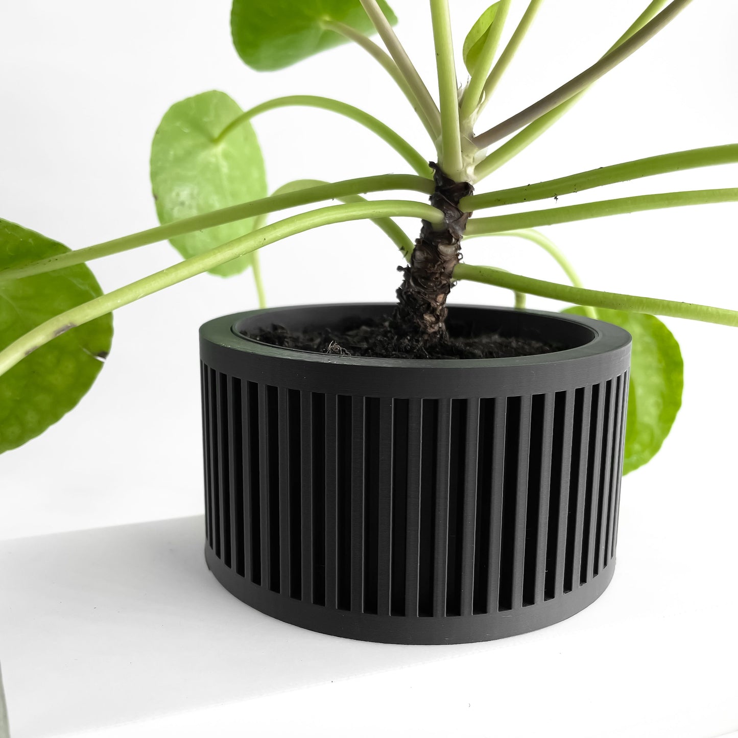 Planter Pot, Indoor Herb Holder, Succulent Vessel, Contemporary Minimalist Accent