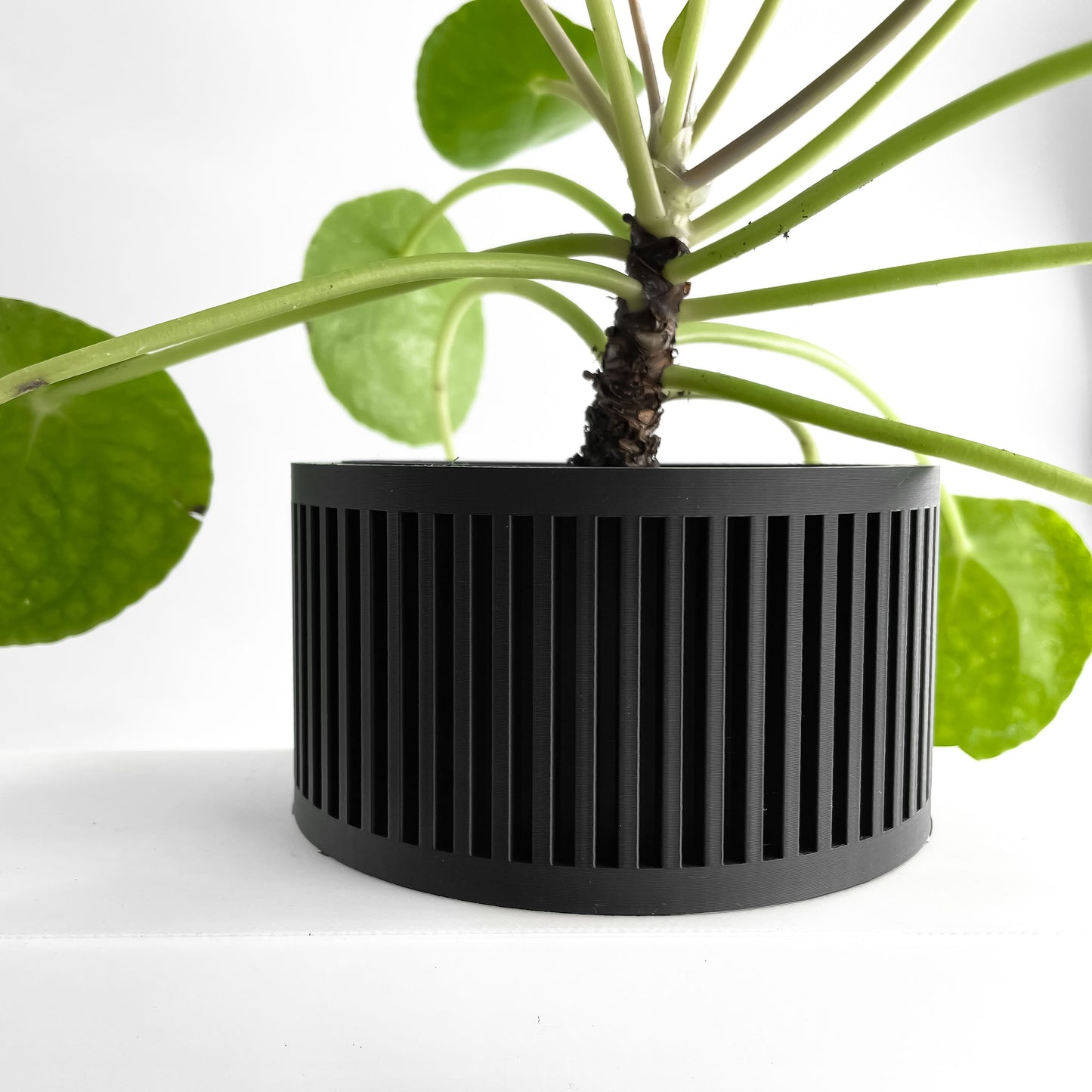 Planter Pot, Indoor Herb Holder, Succulent Vessel, Contemporary Minimalist Accent