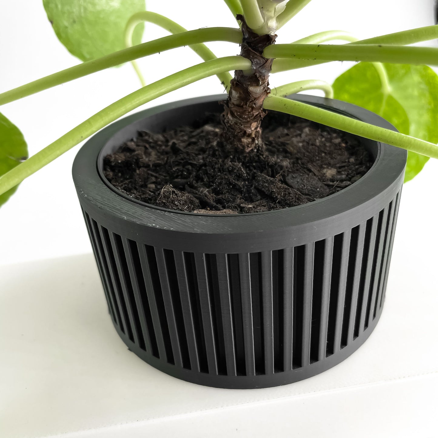 Planter Pot, Indoor Herb Holder, Succulent Vessel, Contemporary Minimalist Accent