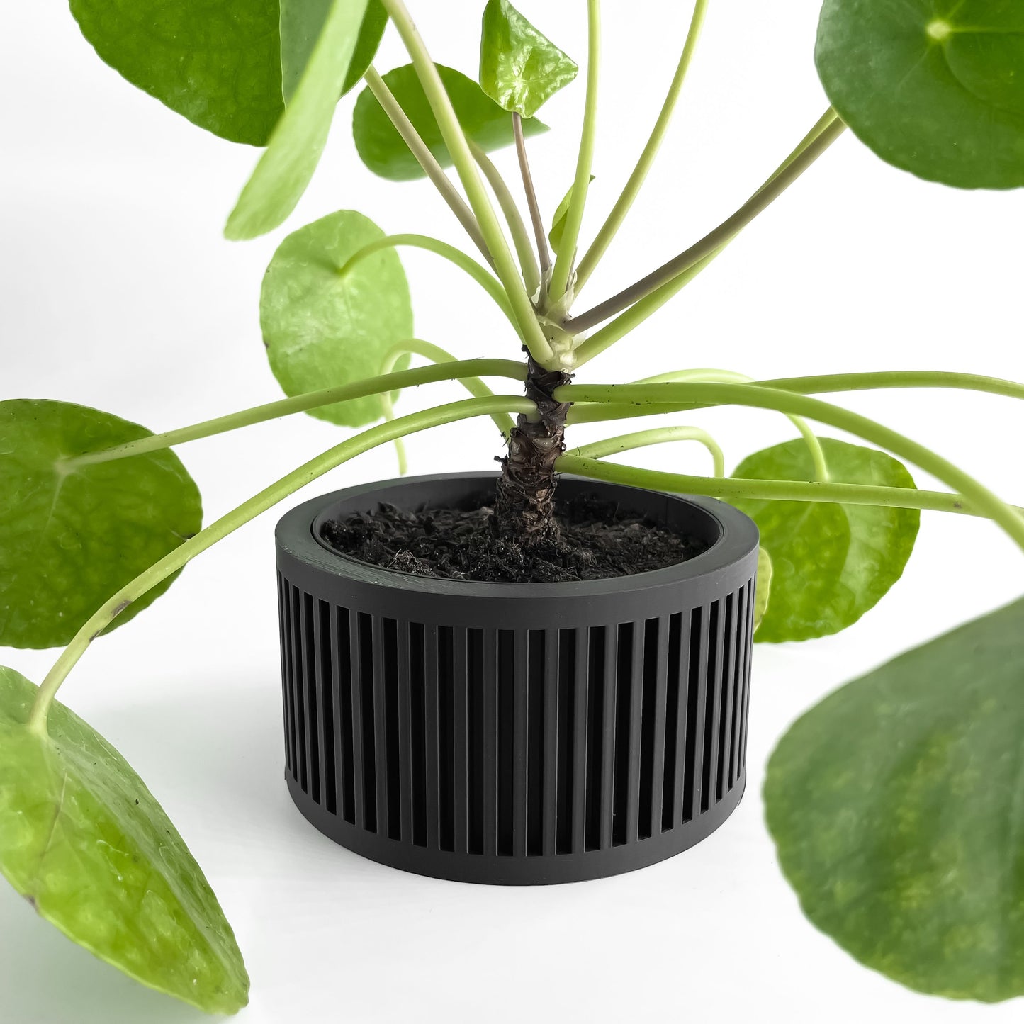 Planter Pot, Indoor Herb Holder, Succulent Vessel, Contemporary Minimalist Accent