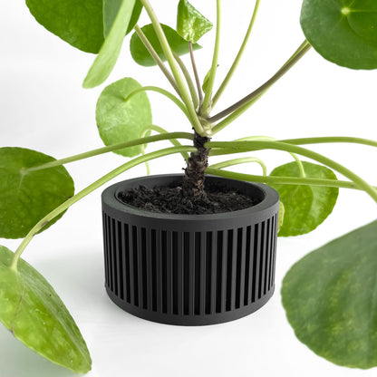 Planter Pot, Indoor Herb Holder, Succulent Vessel, Contemporary Minimalist Accent