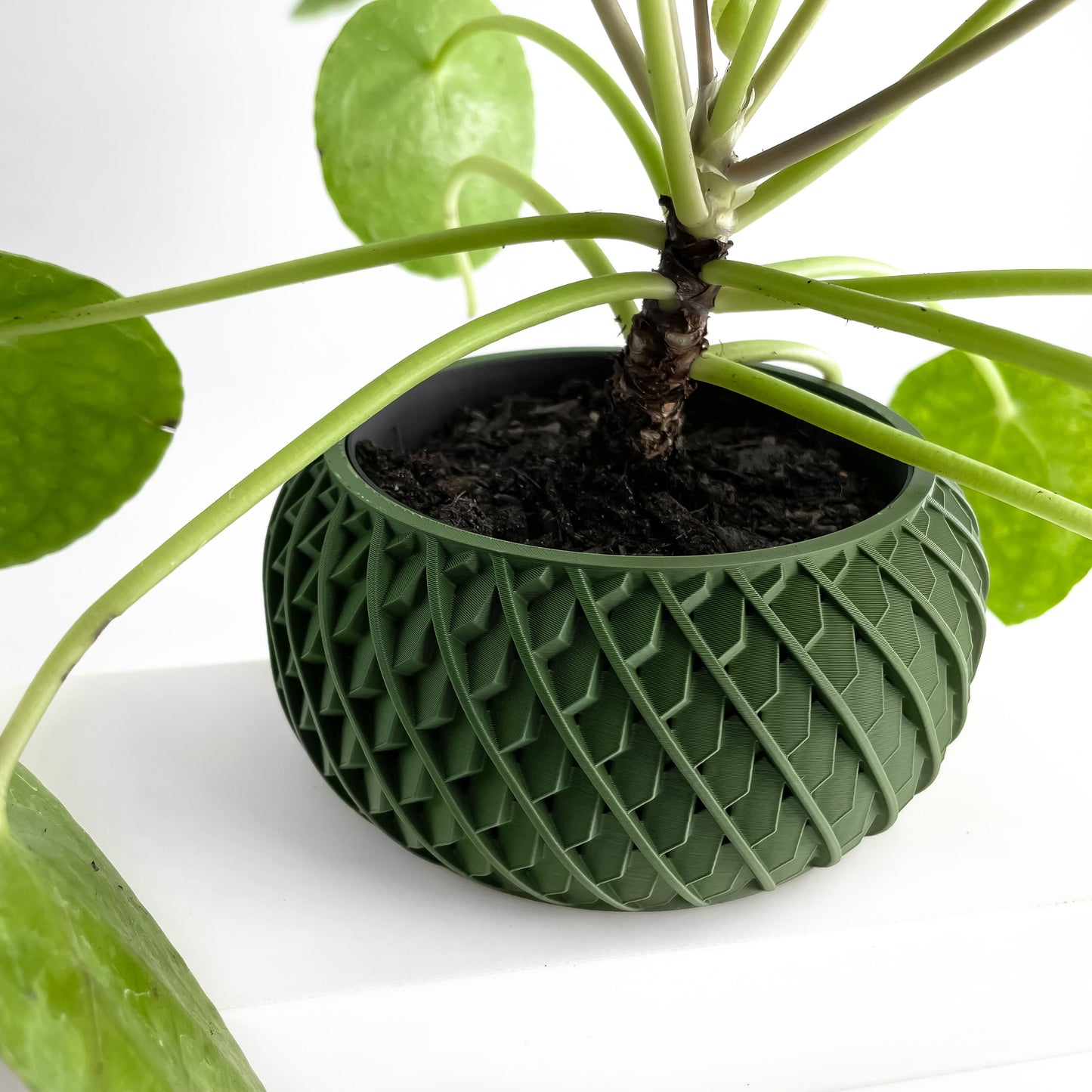 Unique Planter Pot, Cactus Holder, Moss Organizer, Eco Friendly Modern Office Decor, 3D Printed