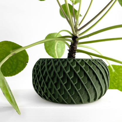 Unique Planter Pot, Cactus Holder, Moss Organizer, Eco Friendly Modern Office Decor, 3D Printed