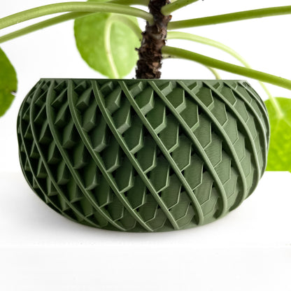 Unique Planter Pot, Cactus Holder, Moss Organizer, Eco Friendly Modern Office Decor, 3D Printed