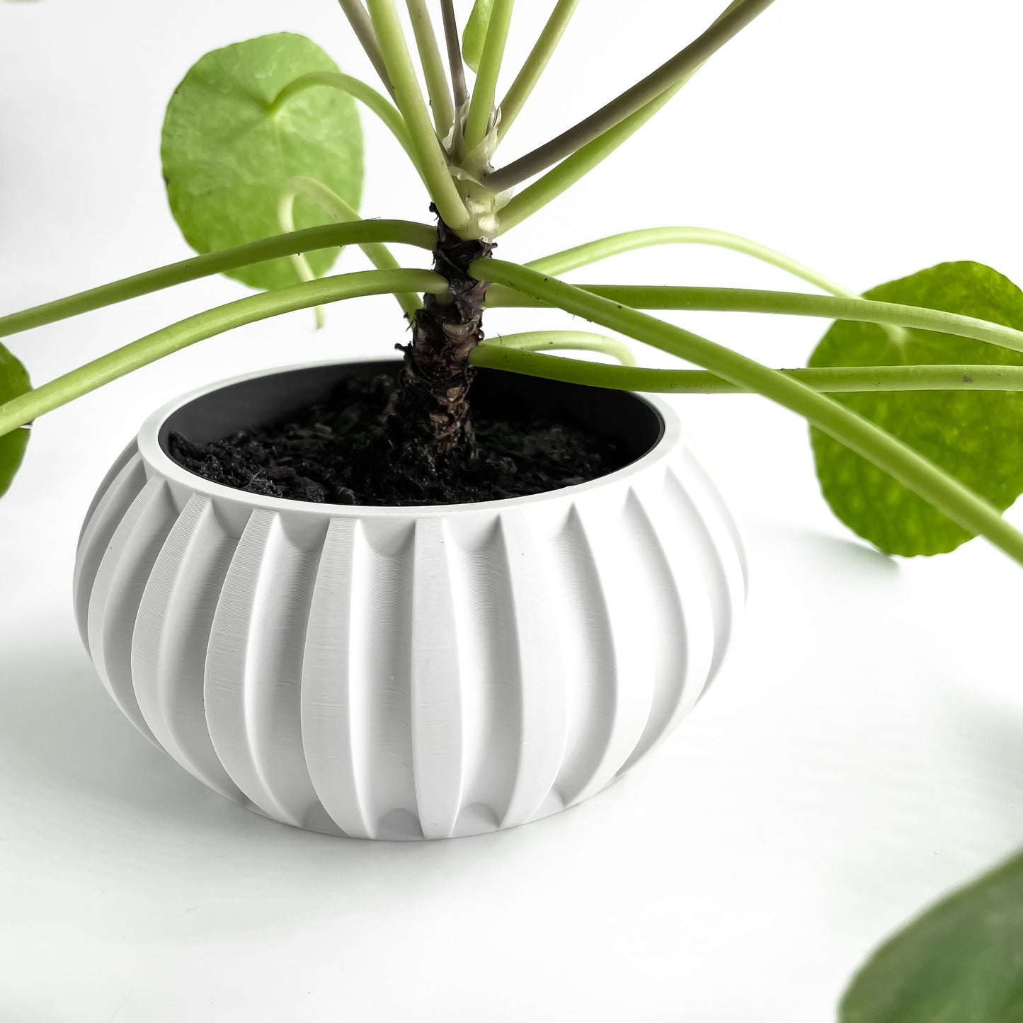 Planter Pot, Contemporary Indoor Succulent Organizer, Herb Display, Minimalist Desk