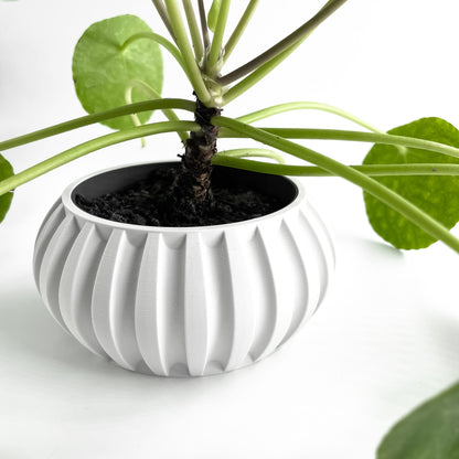 Planter Pot, Contemporary Indoor Succulent Organizer, Herb Display, Minimalist Desk