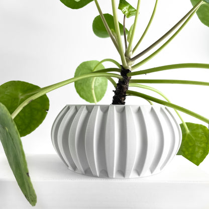 Planter Pot, Contemporary Indoor Succulent Organizer, Herb Display, Minimalist Desk